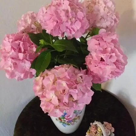 Hrastic 아파트 포레치