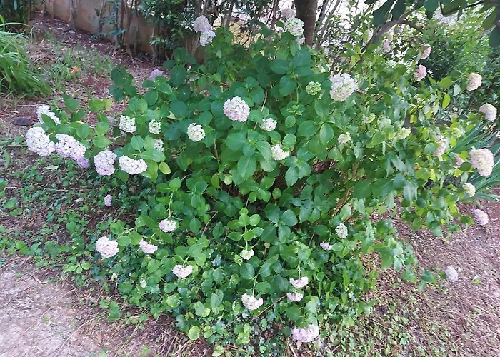 Hrastic Lägenhet Poreč