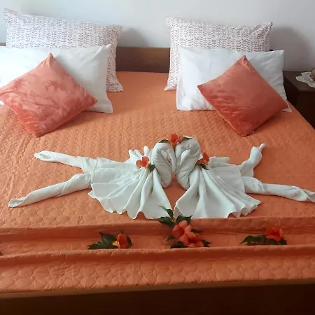 Hrastic Apartment