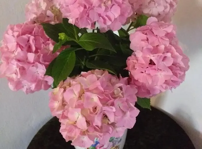 Hrastic Apartament Poreč