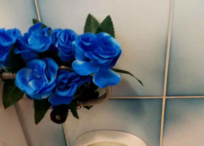 Apartament Hrastic *